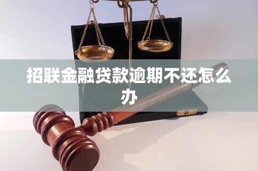 招联金融贷款逾期不还怎么办