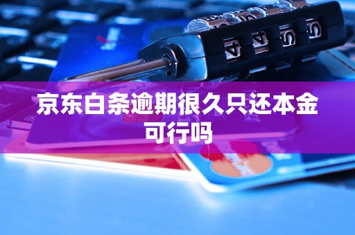 京东白条逾期很久只还本金可行吗