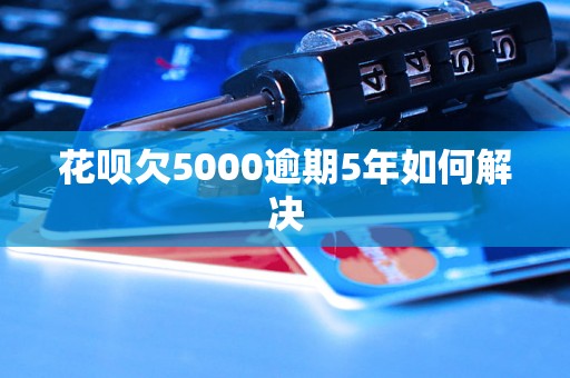 花呗欠5000逾期5年如何解决