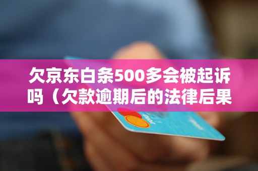 欠京东白条500多会被起诉吗（欠款逾期后的法律后果） - 副本