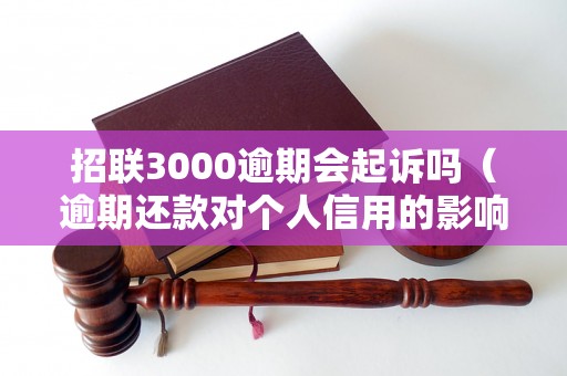 招联3000逾期会起诉吗（逾期还款对个人信用的影响）