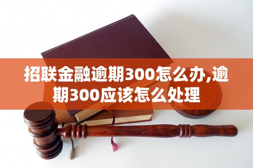 招联金融逾期300怎么办,逾期300应该怎么处理