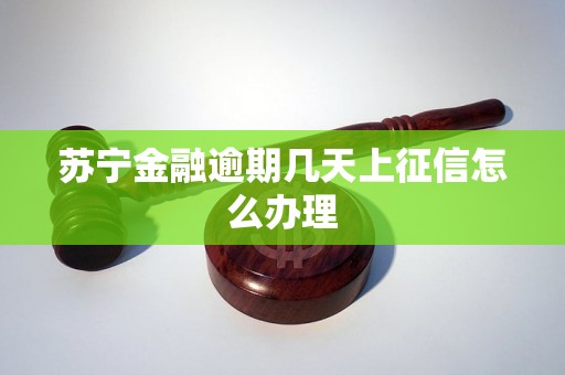 苏宁金融逾期几天上征信怎么办理