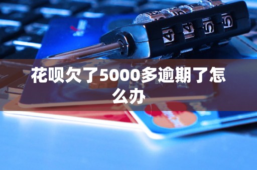 花呗欠了5000多逾期了怎么办