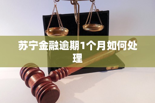 苏宁金融逾期1个月如何处理