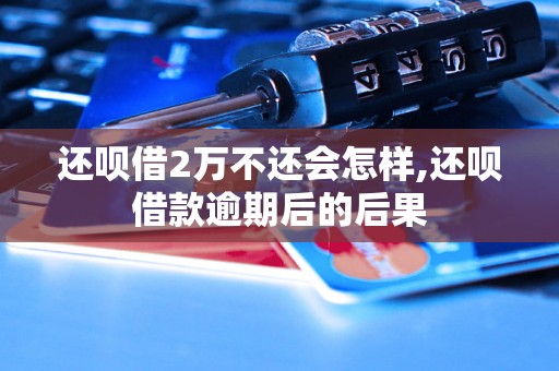 还呗借2万不还会怎样,还呗借款逾期后的后果