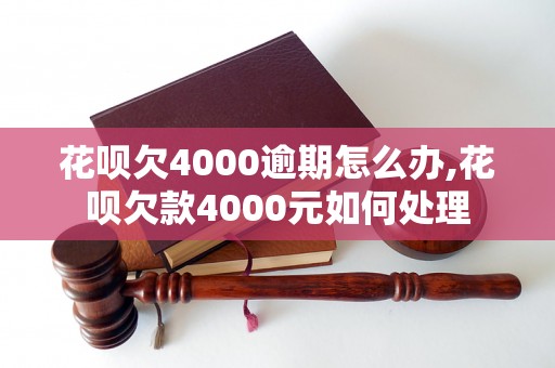 花呗欠4000逾期怎么办,花呗欠款4000元如何处理