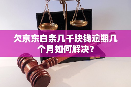 欠京东白条几千块钱逾期几个月如何解决？