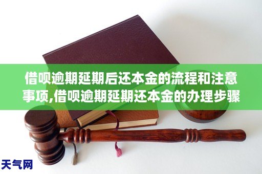 借呗逾期延期后还本金的流程和注意事项借呗逾期延期还本金的办理步骤