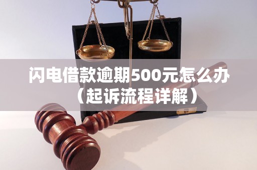 闪电借款逾期500元怎么办（起诉流程详解）