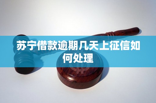 苏宁借款逾期几天上征信如何处理