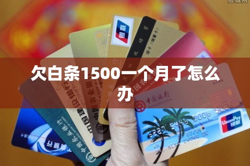 欠白条1500一个月了怎么办