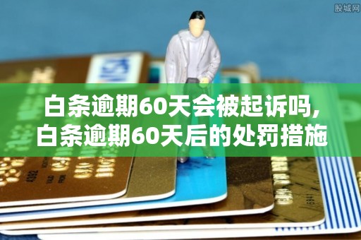 白条逾期60天会被起诉吗,白条逾期60天后的处罚措施