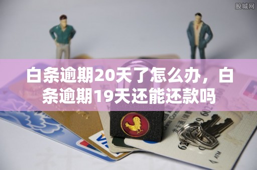 白条逾期20天了怎么办，白条逾期19天还能还款吗