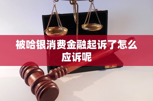 被哈银消费金融起诉了怎么应诉呢