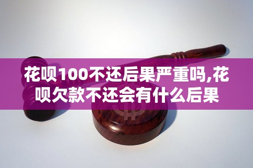 花呗100不还后果严重吗,花呗欠款不还会有什么后果