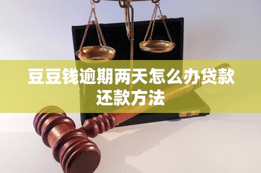 豆豆钱逾期两天怎么办贷款还款方法