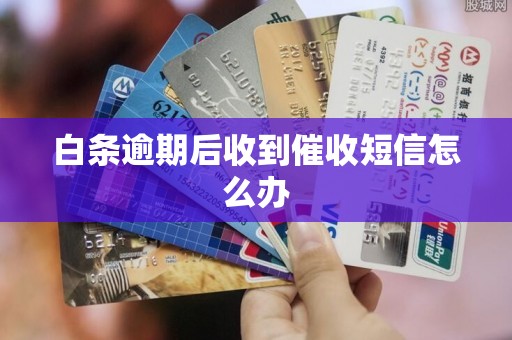 白条逾期后收到催收短信怎么办