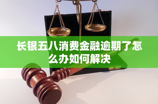 长银五八消费金融逾期了怎么办如何解决