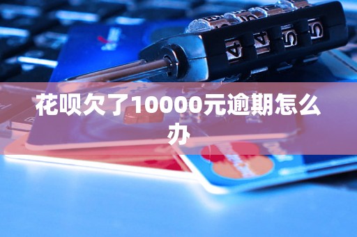 花呗欠了10000元逾期怎么办