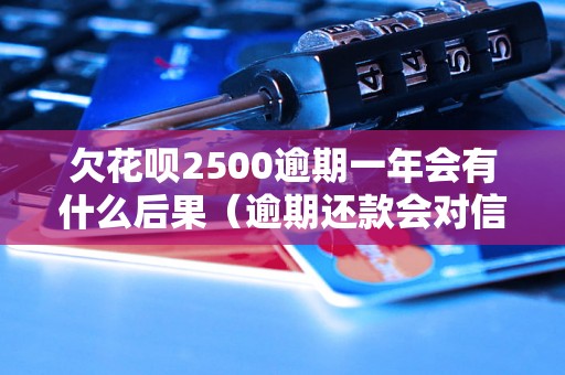 欠花呗2500逾期一年会有什么后果（逾期还款会对信用记录造成什么影响）