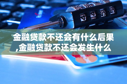 金融贷款不还会有什么后果,金融贷款不还会发生什么