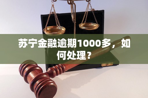 苏宁金融逾期1000多，如何处理？