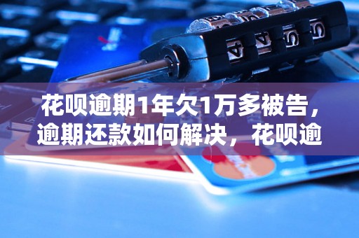 花呗逾期1年欠1万多被告，逾期还款如何解决，花呗逾期1年欠1万多后果如何