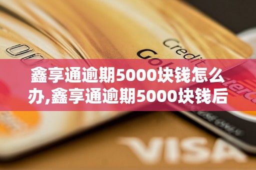 鑫享通逾期5000块钱怎么办,鑫享通逾期5000块钱后果及处理方法