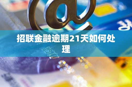 招联金融逾期21天如何处理