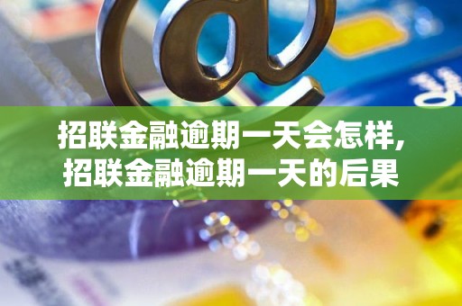 招联金融逾期一天会怎样,招联金融逾期一天的后果