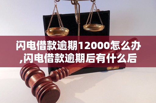 闪电借款逾期12000怎么办,闪电借款逾期后有什么后果