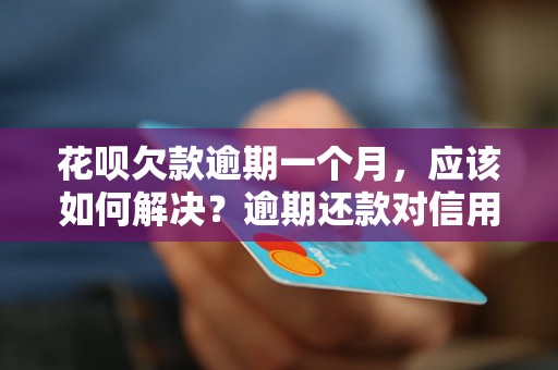 花呗欠款逾期一个月，应该如何解决？逾期还款对信用记录有什么影响？