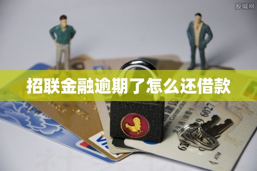 招联金融逾期了怎么还借款