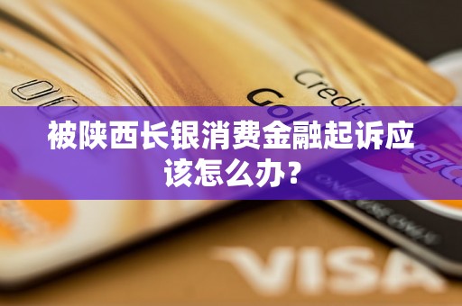 被陕西长银消费金融起诉应该怎么办？