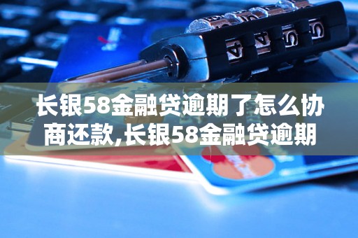 长银58金融贷逾期了怎么协商还款,长银58金融贷逾期后如何处理