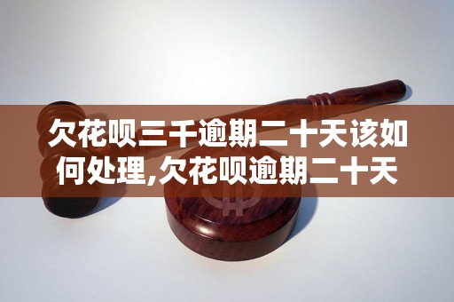 欠花呗三千逾期二十天该如何处理,欠花呗逾期二十天的后果及解决方法