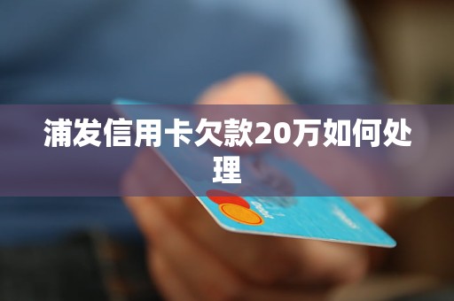 浦发信用卡欠款20万如何处理