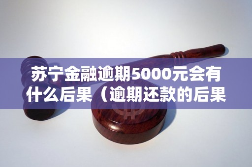 苏宁金融逾期5000元会有什么后果（逾期还款的后果和处理方法）