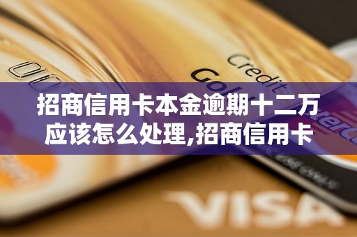 招商信用卡本金逾期十二万应该怎么处理,招商信用卡逾期十二万的后果