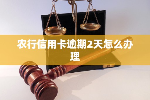 农行信用卡逾期2天怎么办理