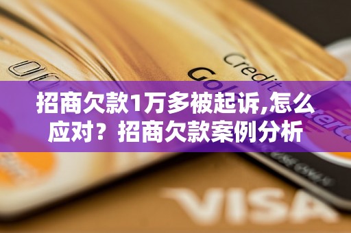 招商欠款1万多被起诉,怎么应对？招商欠款案例分析