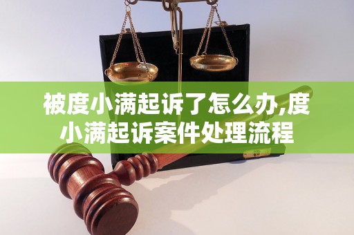 被度小满起诉了怎么办,度小满起诉案件处理流程