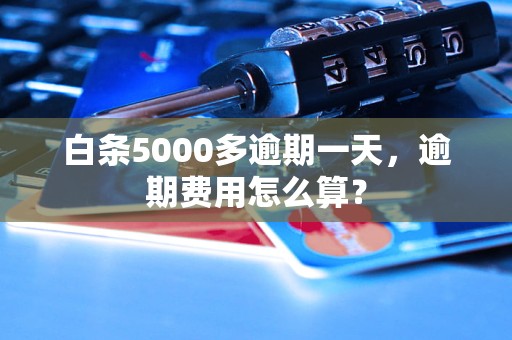 白条5000多逾期一天，逾期费用怎么算？