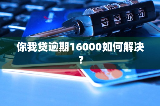 你我贷逾期16000如何解决？