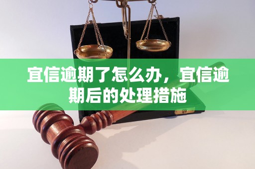 宜信逾期了怎么办，宜信逾期后的处理措施