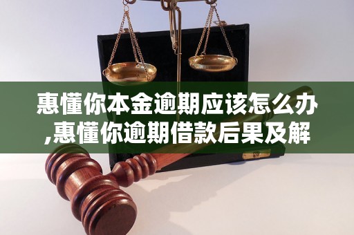 惠懂你本金逾期应该怎么办,惠懂你逾期借款后果及解决方法