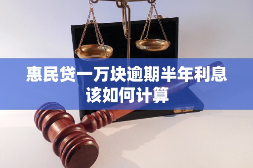 惠民贷一万块逾期半年利息该如何计算