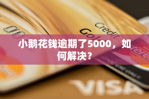 小鹅花钱逾期了5000，如何解决？