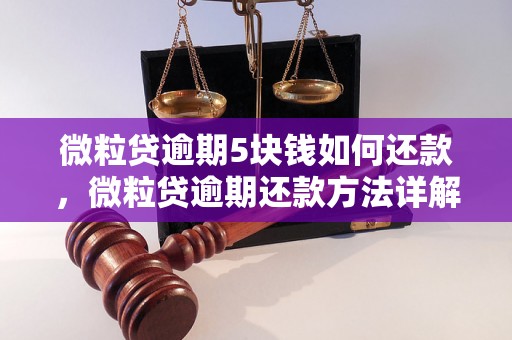 微粒贷逾期5块钱如何还款，微粒贷逾期还款方法详解